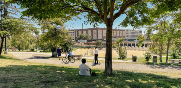 people at a park