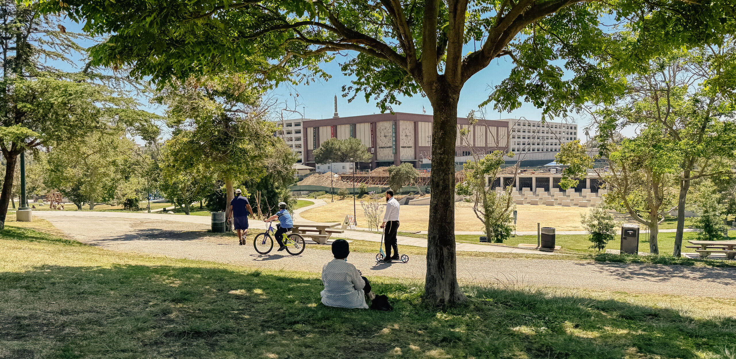 people at a park